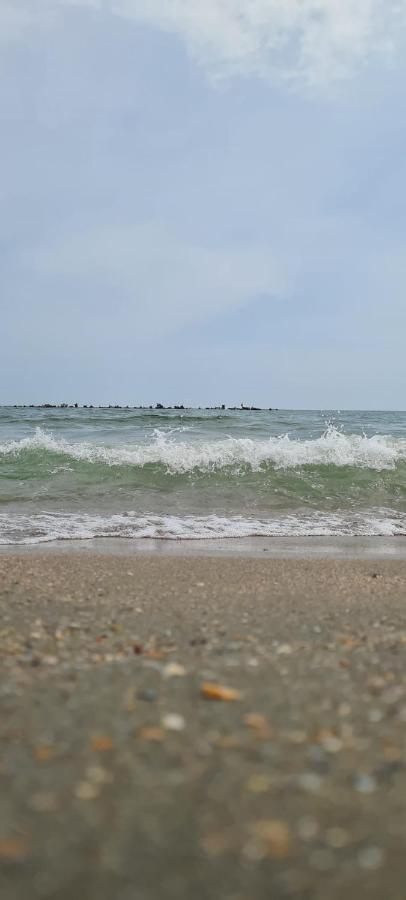 公寓 Central Beach Mamaia